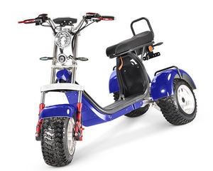 Triciclos Eléctricos de 3 Ruedas con Motores Dobles de 2000w y 4000w y Controles Dobles - Product Image 2