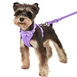 Venta al por mayor de fábrica diseñadores de logotipo personalizado púrpura PVC suave caza impermeable pequeño perro mascota collar y correa arnés conjunto - Product Image 4