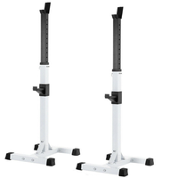 Rack de musculation commercial pliable en acier moderne pour presse à banc et squats