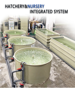 Éclosion et culture de semis pour l'aquaculture Système <span class=keywords><strong>RAS</strong></span> Système d'écloserie et de pépinière de tilapia - Product Image 2