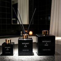 Diffuseur de parfum d'ambiance de luxe en verre noir à marque privée avec bâtonnets en fibre, huiles essentielles, aromathérapie, OEM ODM