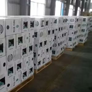 גז קירור - Product Image 5