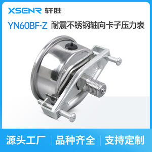 Manomètre en acier inoxydable Suzhou XuanSheng YNBF-60Z 60 mm analogique 10 bars MPa à montage sur panneau - Product Image 2