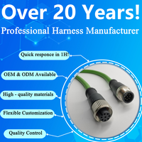 OEM ODM personalizado M12 conector 2 pines a código hembra aviación impermeable MONTAJE DE Cable extensión arnés de cables para cámara DVR