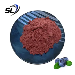 Polyphenols Blueberry Polyphenols Powder Pure Natural Blueberry Extract Blueberry Polyphenols