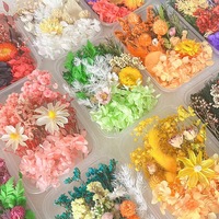 Boîte de fleurs séchées stabilisées pour l'art de la résine DIY, fleurs séchées mélangées multicolores, en vrac, naturelles, kits de matériaux