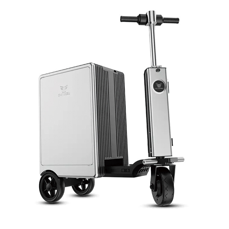 Argento distinto-20 pollici