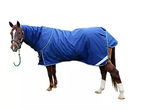 Magnetisch Paard Kleed Magnetisch Paard Tapijt Voor Paardensport Gebruik - Product Image 3