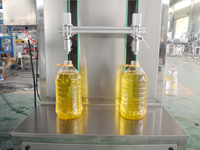 Machine de remplissage à pompe à engrenages à deux têtes, petite machine de mise en bouteille d'huile de soja, machine de remplissage de bouteilles d'huile de tournesol