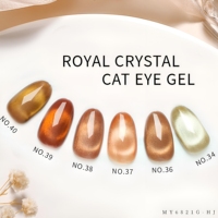 Kit de vernis gel effet œil de chat doré 21 couleurs, marque privée, sans HEMA, à retirer par trempage, UV, pailleté, magnétique de luxe, fournisseur pour salons de manucure