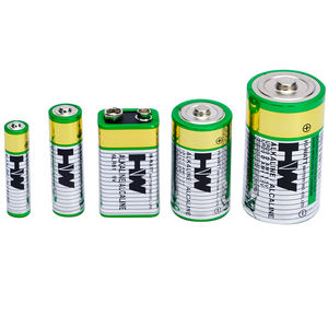 오래 지속되는 <span class=keywords><strong>9V</strong></span> 알카라인 배터리 6LR61 무선 마이크 기타 픽업 장난감용 배터리 HW 브랜드 또는 OEM - Product Image 1