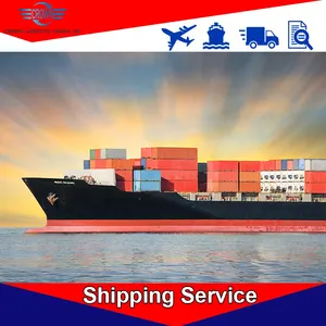 Shenzhen ddp ddu freight forward sea shipping rate from china to Romania