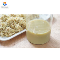 Kleine commerciële gemberpers centrifugale sap- en pulpseparator 2-in-1 gemberpersmachine