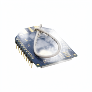 XBP9B-DPWT-011 มีสินค้าในสต็อก โมดูลรับส่งสัญญาณ RF และโมเด็ม - Product Image 1
