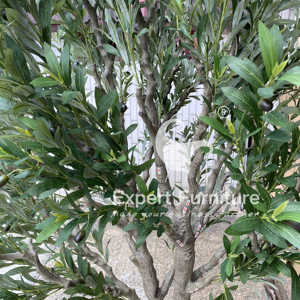 Olivo artificial para decoración de eventos - Product Image 6