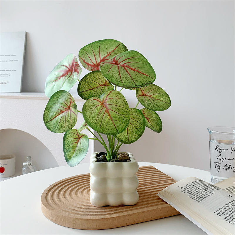 ขวดฟองสี่เหลี่ยมใบเผือกนางฟ้า