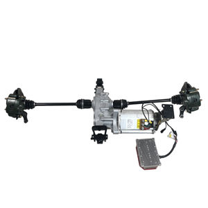 Ensemble d'essieu arrière électrique modulaire pour voiturette de <span class=keywords><strong>golf</strong></span>, tricycle électrique, pièces de rechange compatibles avec moteur AC 48V 3KW 4KW Inde USA - Product Image 6