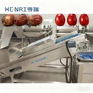 Equipo de Lavado de Frutas y Verduras por Aspersión, Línea de Limpieza, Máquina Lavadora de Verduras - Product Image 4