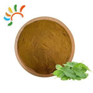 مستخلص أوراق التوت المُنظّم |   عالي في نسبة الدي إن جيه |   نسب متعددة (مثل 5:1، 10:1، 20:1) |   تركيبات غذائية مكملة للصحة - Product Image 1