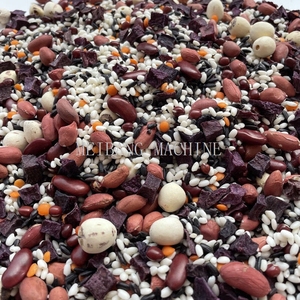 MB Torréfacteur Koking pour Anacardos Torréfacteur à grains Gaz 25kg - Product Image 6