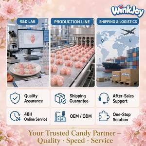 Bonbons à la <span class=keywords><strong>cire</strong></span> d'abeille de qualité supérieure, fourrés au <span class=keywords><strong>jus</strong></span> de fruits, certifiés Halal, fournisseur en gros d'usine, exportateur, marque privée - Product Image 5