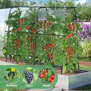 Nouveau style de <span class=keywords><strong>treillis</strong></span> décoratif en fil d'acier inoxydable <span class=keywords><strong>pour</strong></span> jardin, avec tunnel arqué haut <span class=keywords><strong>pour</strong></span> plantes <span class=keywords><strong>grimpantes</strong></span> et <span class=keywords><strong>fleurs</strong></span> d'extérieur - Product Image 2