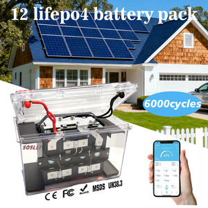 <span class=keywords><strong>Batterie</strong></span> LiFePO4 transparente SOSLLI 12V 100Ah durable avec boîtier robuste transparent pour applications marines, yachts, voiliers, bateaux-maisons et auxiliaires - Product Image 1