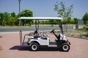 Voiturette de golf électrique WELIFTRICH 3-4 places, batterie lithium 60V, chariot de tourisme et de chasse, roues blanches et noires, toit entièrement étanche - Product Image 4
