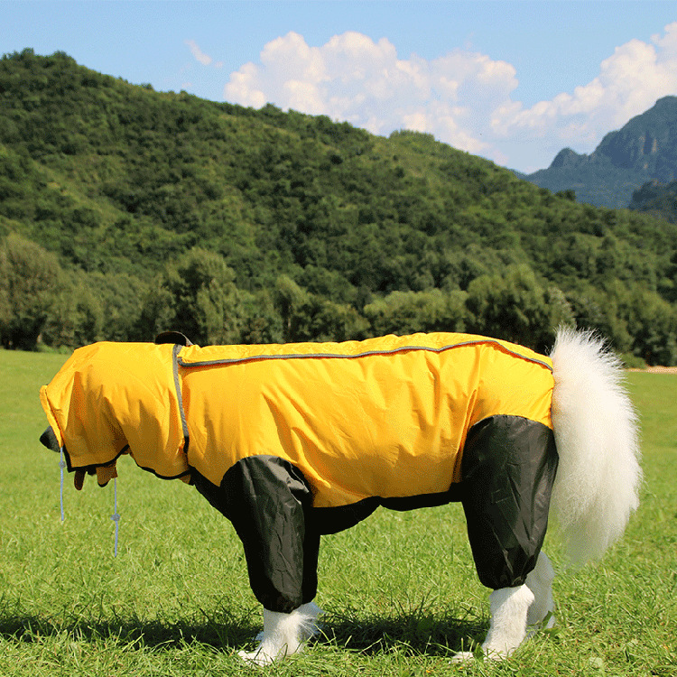 Jaune