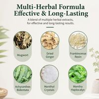 Patch Herbal Personnalisé à l'Armoise OEM, Plâtre Cervical à l'Armoise, Marque Privée, Faible MOQ, Certifié CE Classe I