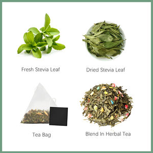أفضل سعر لأوراق الستيفيا المجففة الحلوة، أوراق ستيفيا عضوية مجففة بالجملة، مورد شاي الستيفيا - Product Image 5