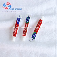 Dentifrice d'hôtel 5 grammes, écologique, biodégradable, à l'essence d'herbes, logo personnalisable