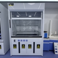 Hotte de laboratoire métallique de haute qualité à prix abordable, anti-explosion chimique, avec conduit, pour usage hospitalier et scolaire
