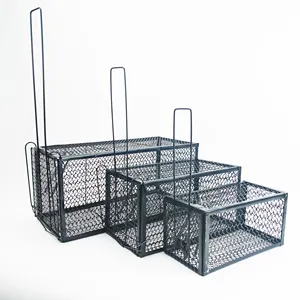可重复使用的笼式捕鼠器鼠笼金属捕鼠器笼，用于灭鼠害虫
