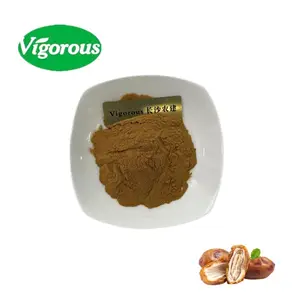 Wholesale Good Quality Hot Sale Date Palm Extract