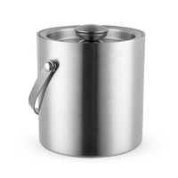 Seau à glaçons fantaisie isolant avec pinces, couvercle en acier inoxydable, double paroi portable, refroidisseur de boissons pour bar à domicile