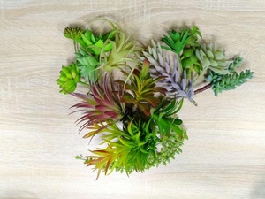 <span class=keywords><strong>Pas</strong></span> cher en gros réaliste faux unpotted mini <span class=keywords><strong>plantes</strong></span> artificielles succulentes assorties 16 pièces pour la décoration de jardin - Product Image 5