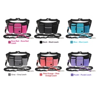Ceinture de promenade pour chien en polyester résistant à l'eau, personnalisable, avec poches, logo et emballage, pour l'entraînement et les exercices en extérieur