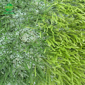 Césped Artificial de Interior de Calidad <span class=keywords><strong>FIFA</strong></span> Pro de 50 mm, Relleno de Arena de Sílice, Campo Deportivo de Élite, Campo de Fútbol, Suave, Impermeable, Duradero, <span class=keywords><strong>15</strong></span>+ - Product Image 5