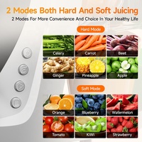 BPA-vrije grote opening slowjuicer voor sinaasappels en ander fruit, geschikt voor hotels, restaurants en kantoren.