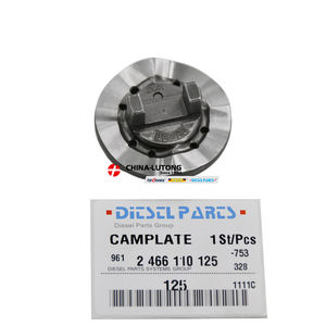 Pièces de <span class=keywords><strong>pompe</strong></span> VE disque à came 2466110125 Kit d'injection de carburant pour moteur Diesel plaque à came DE125 pour Chevrolet S10 Blazer Ford F1000 2.5 TD - Product Image 3
