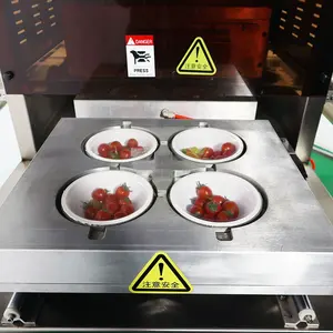 Obst und Gemüse Vakuum verpackungs schale Maschine Siegel verpackungs maschine