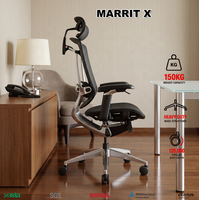 Chaise de bureau ergonomique en mesh avec accoudoirs 5D, dossier réglable et soutien lombaire, modèle classique GTCHAIR 20 ans