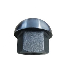 Cường Độ Cao Nut, Domed Nut/Hex Anchor Nut Cho PT <span class=keywords><strong>Bar</strong></span>, Vít Threaded Steel <span class=keywords><strong>Bar</strong></span> - Product Image 1