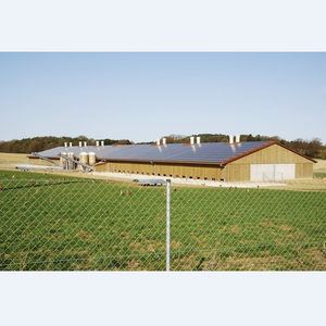 Poulailler industriel métallique personnalisé pour poules pondeuses – Haute qualité et <span class=keywords><strong>prix</strong></span> compétitifs, remplissage automatique d'eau - Product Image 1