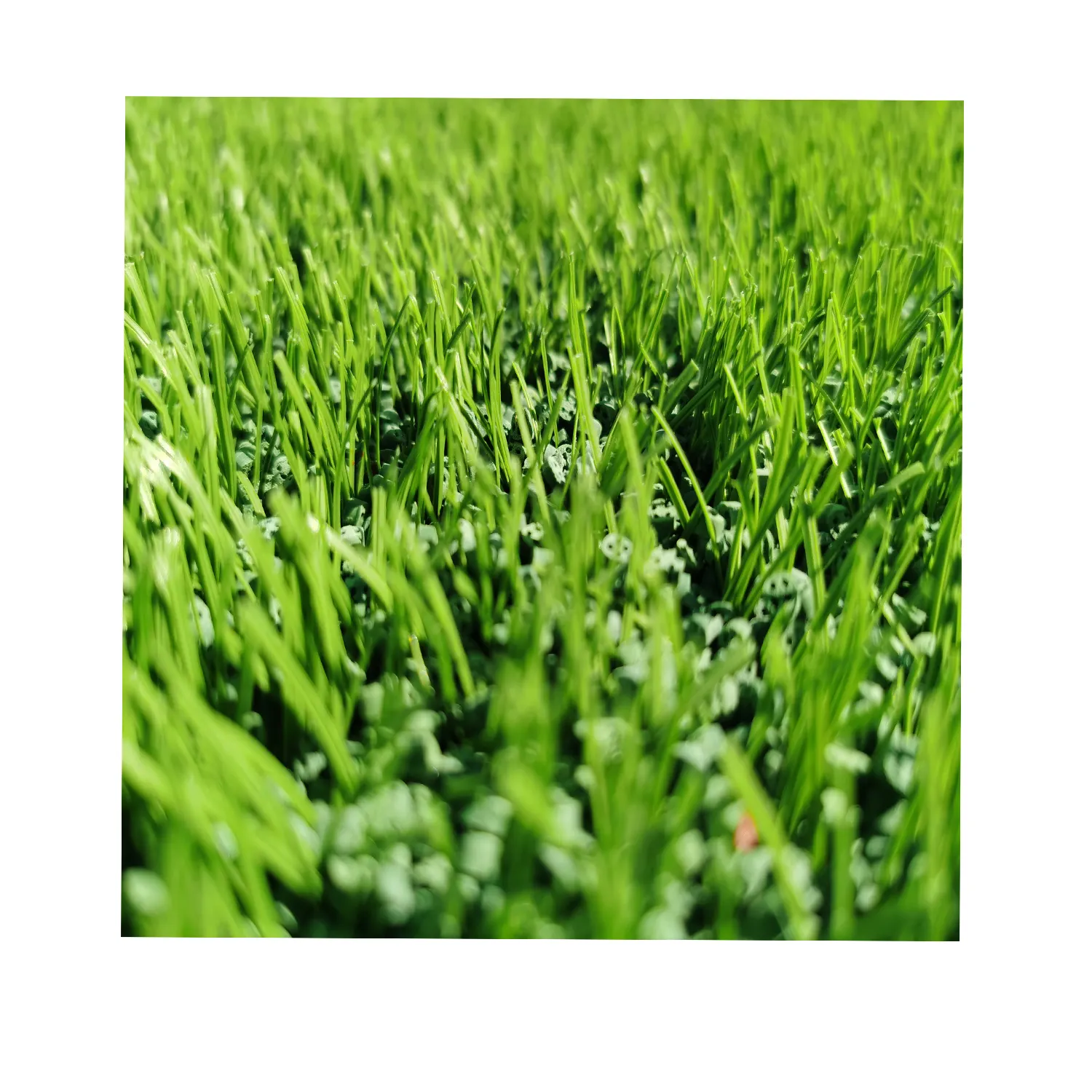 Cheap and High quality green football artifical grass carpet for soccer pitch football pitch football cage Premium Grass