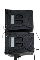 Sistema de Sonido Profesional Pro-110 Line Array para Eventos y Fiestas en Interiores y Exteriores