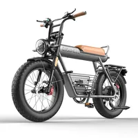 Hydraulic Electric Bicycle with Brake, Big Ebike, 3 Seat