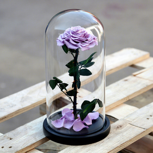 Scatola Regalo con Rosa Stabilizzata, Regali per la Festa della Mamma, Cupola di Vetro con Base, Decorazione per Matrimoni - Product Image 1