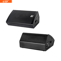 Prix usine TM-12P TM-15P Module amplificateur simple 12/15 pouces 1000W/1300W pour enceintes de monitoring audio professionnelles et boîtes de scène actives